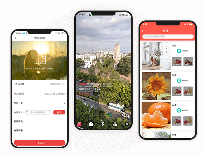B2C电商网站短视频+直播